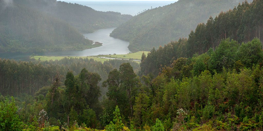 reserva costera valdiviana