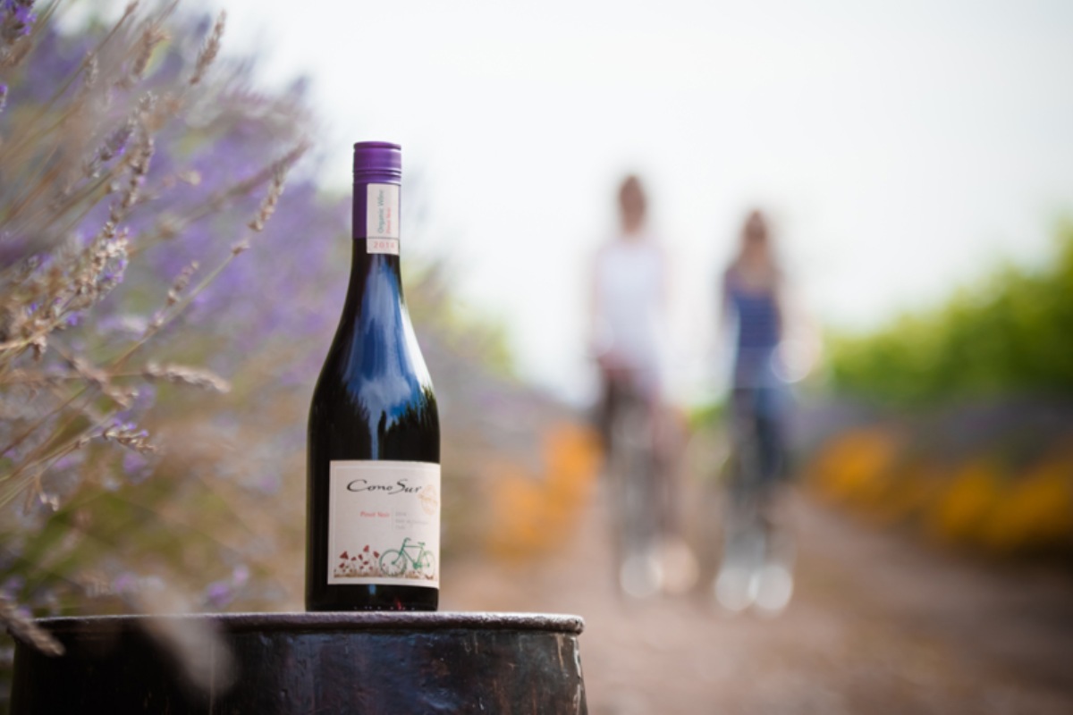 Vino Orgánico de Viña Cono Sur, variedad Pinot Noir