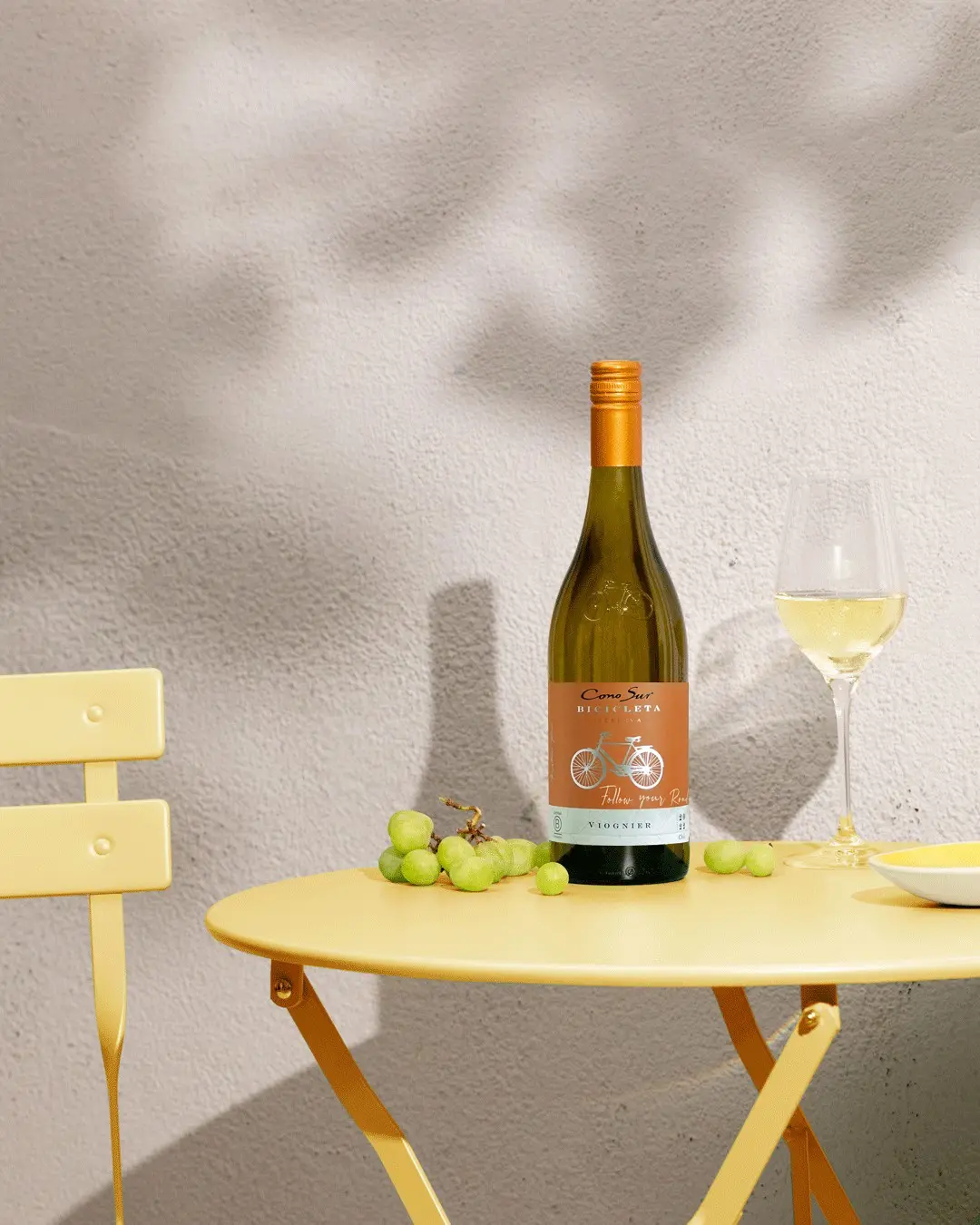 BICICLETA VIOGNIER