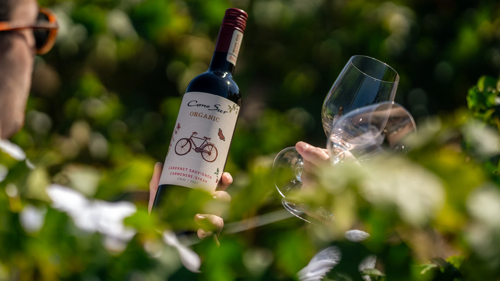 Cono Sur Organic Red Blend