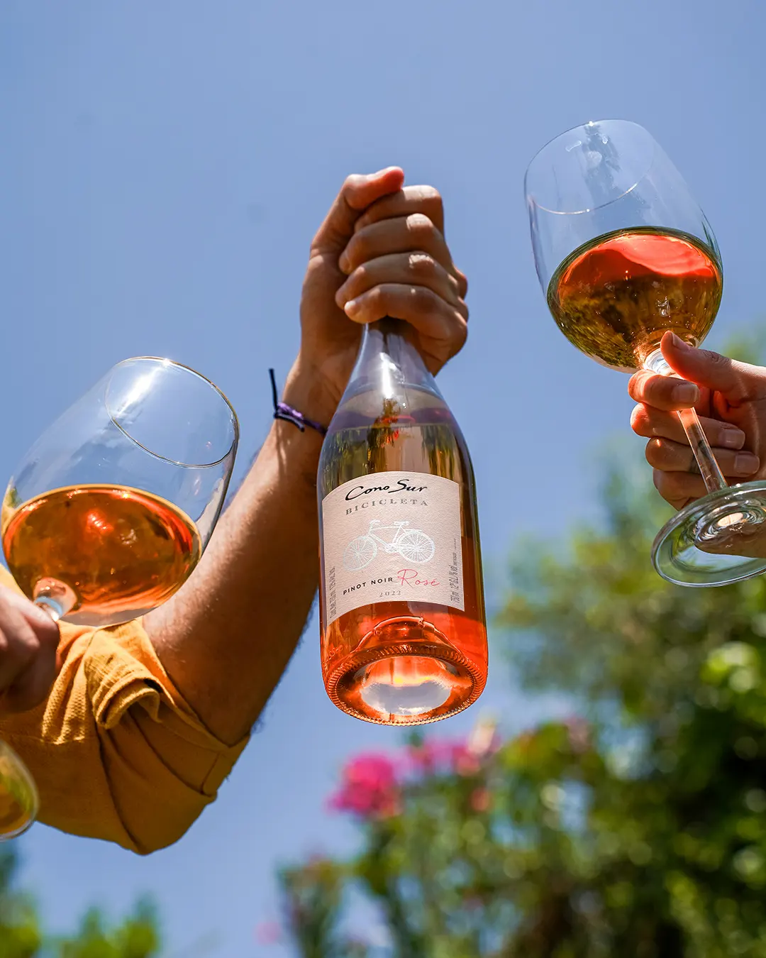 Cono Sur Organic Rosé
